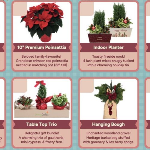 558015319_1370331218009595_4678296012935113694_n