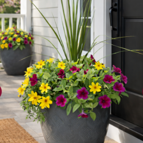 Screenshot 2026-03-11 130427